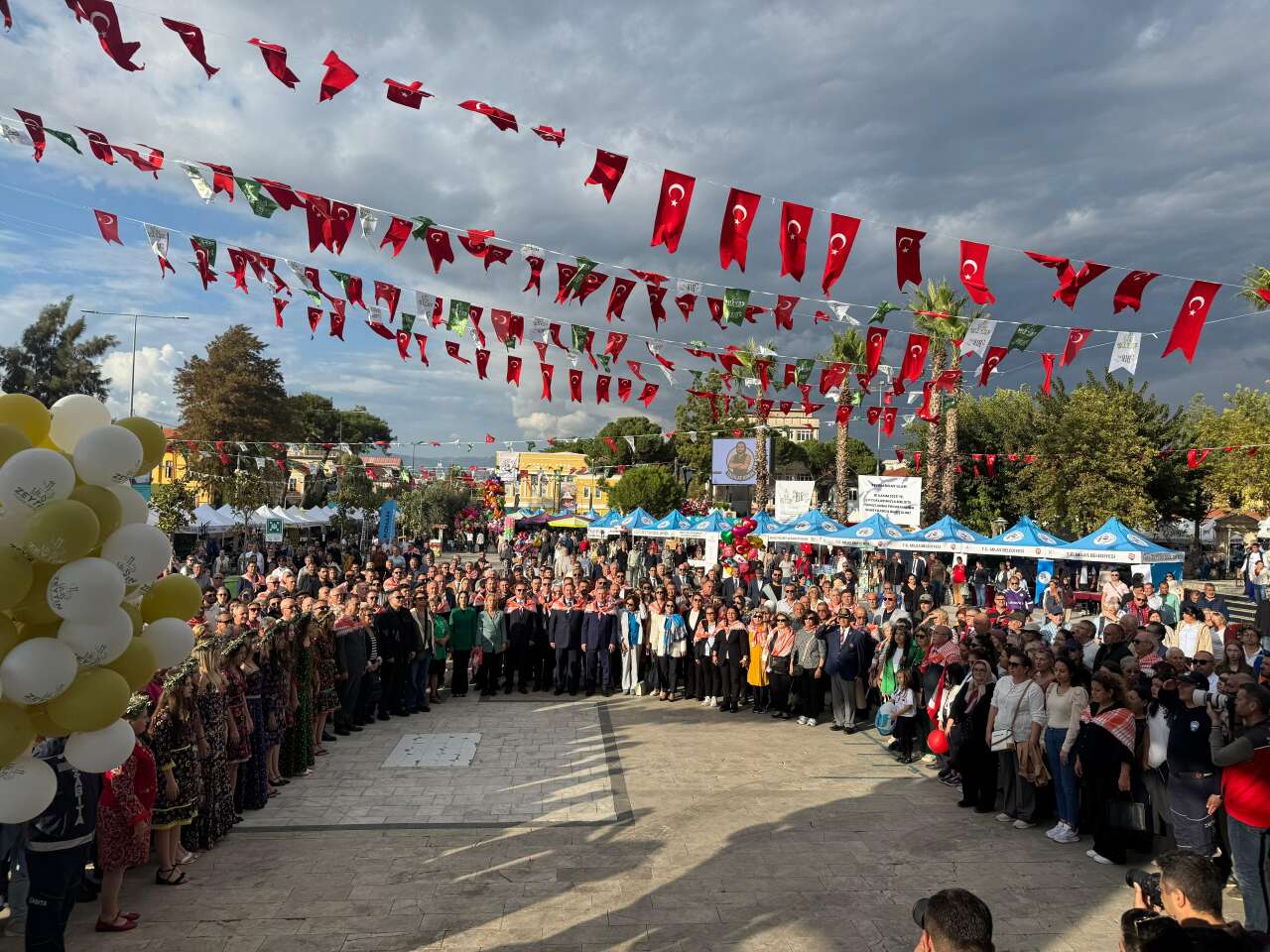 11. Milas Zeytin Hasat Şenliği Başladı 3